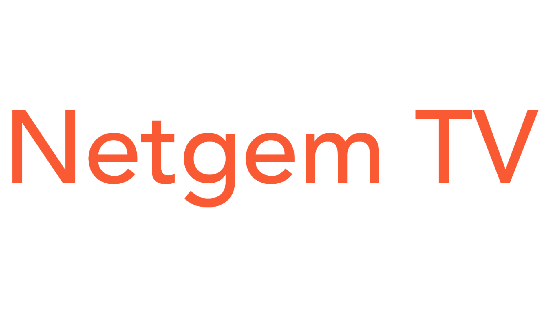 The Netgem Logo